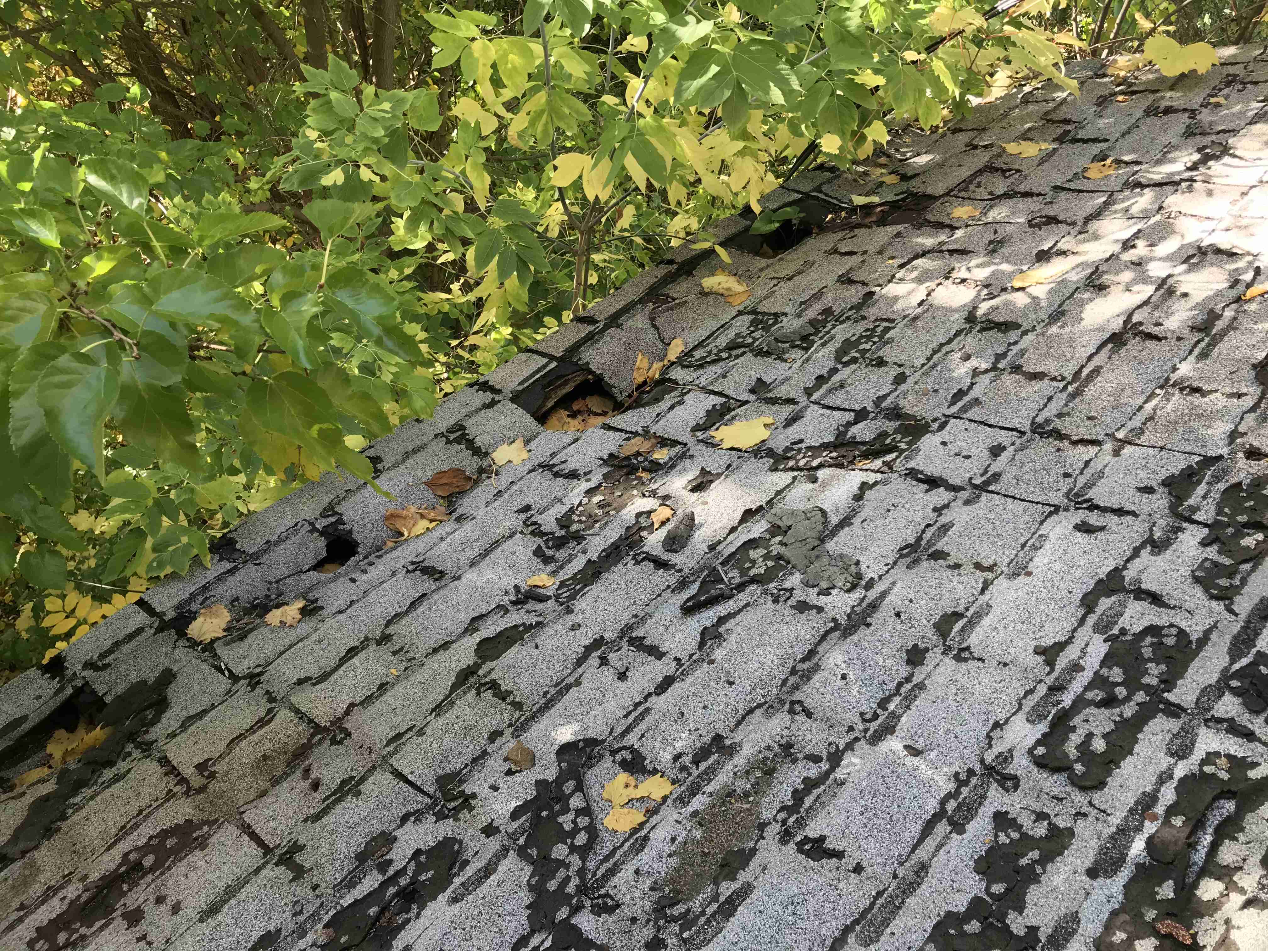 Photo Oct 13, 3 49 05 PM (1).jpg